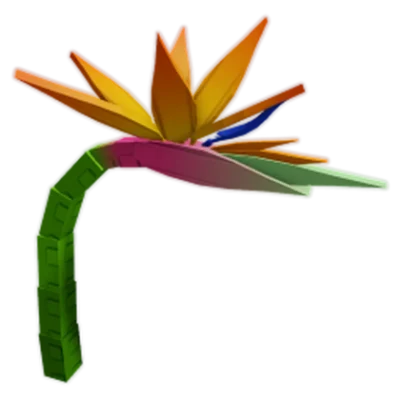 Birds of Paradise — Grow A Garden Crops