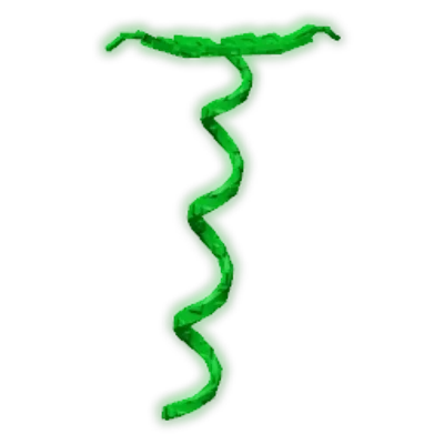 Coilvine — Grow A Garden Crops