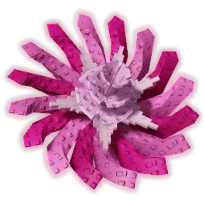 Pinkside Dandelion — Grow A Garden Crops